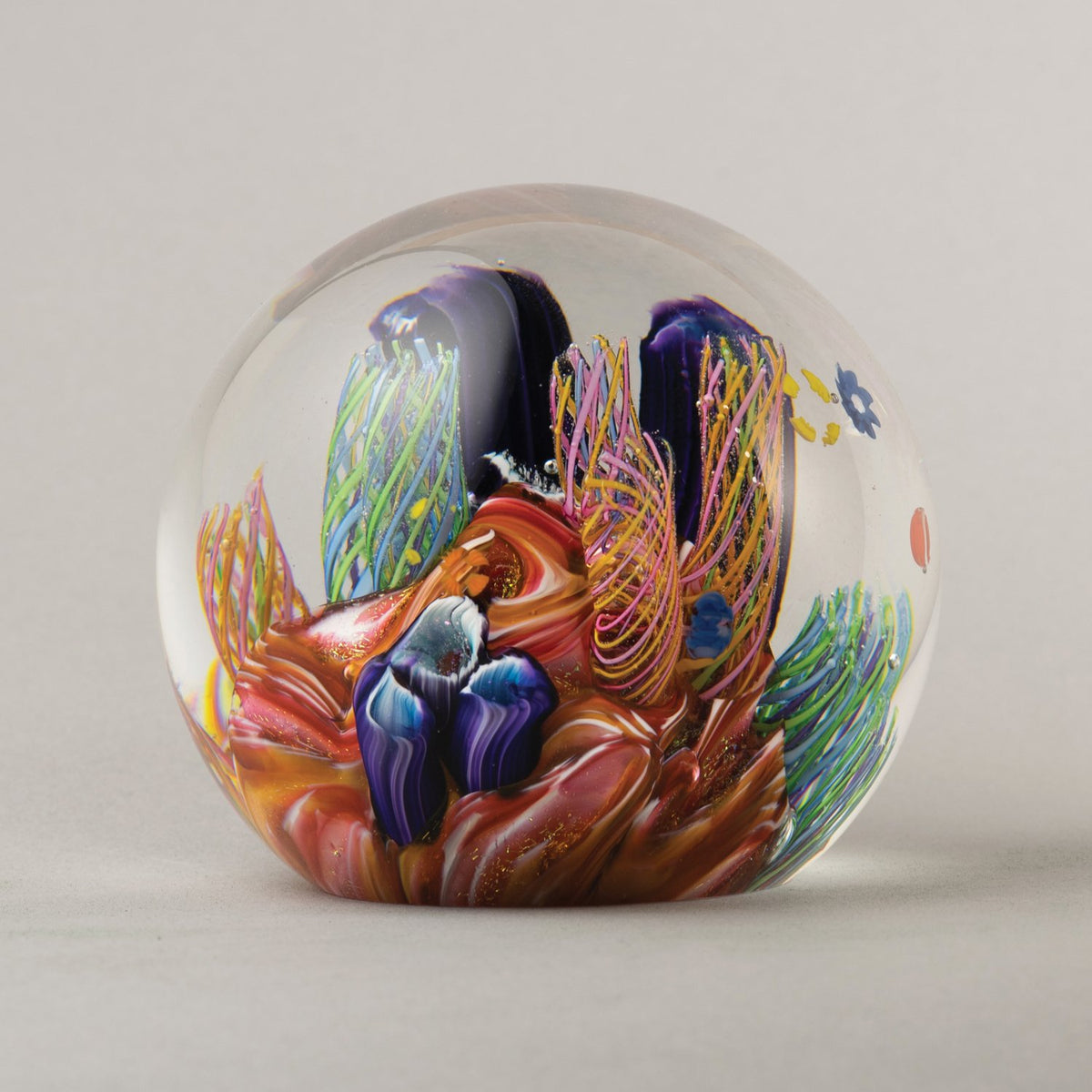 Caribbean Reef Paperweight The Blue Marble Little Blue