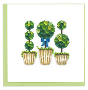 Potted Topiary Plants