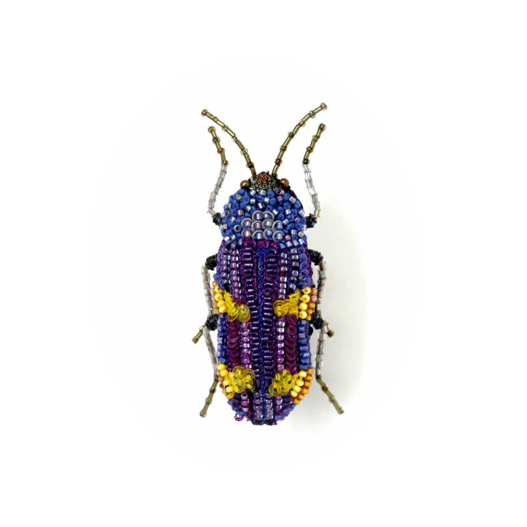 Castiarina Beetle Brooch Pin