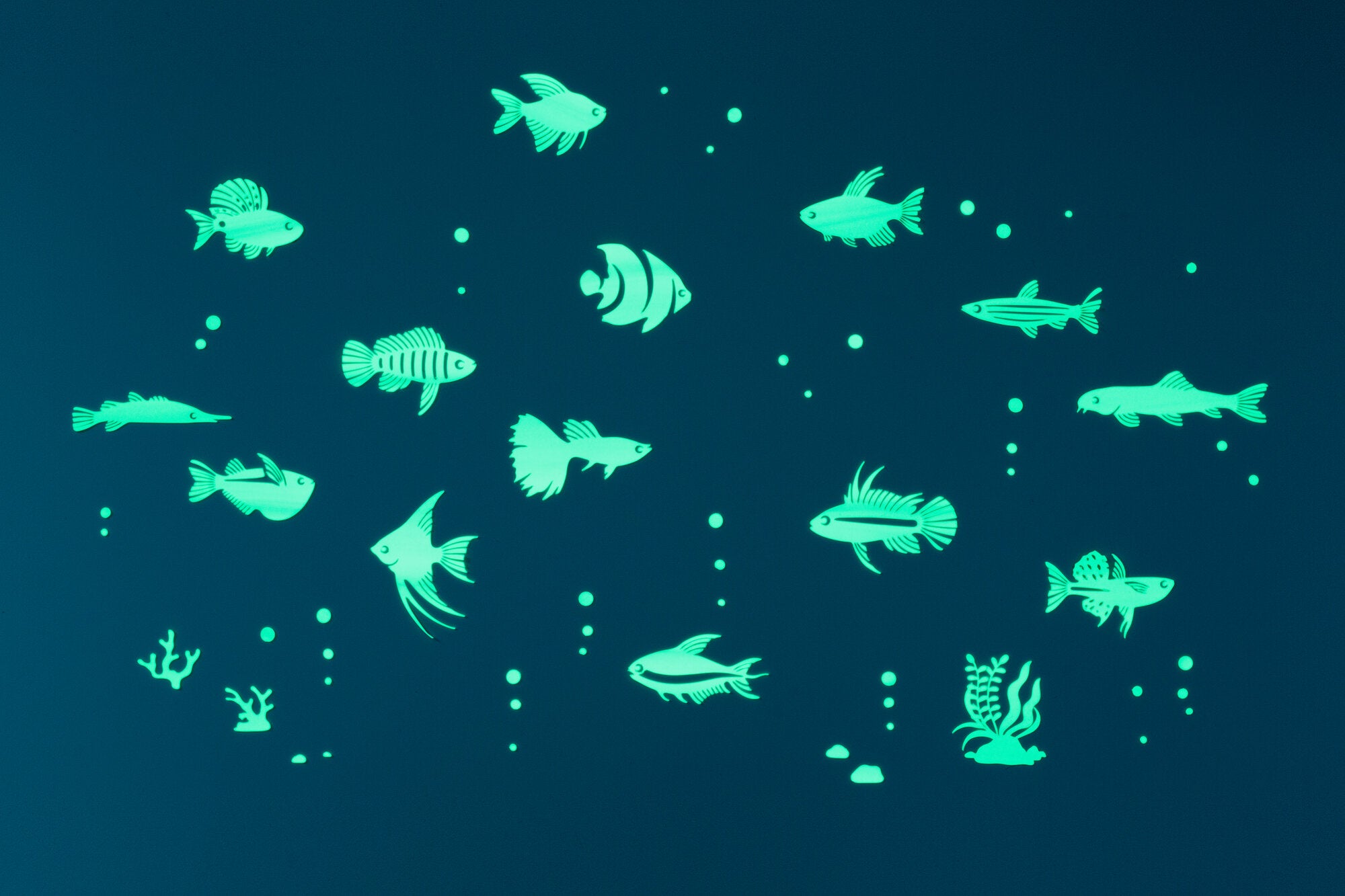 GLOPLAY Glow in the Dark Stickers: Tropical Fish – The Blue Marble + Little  Blue