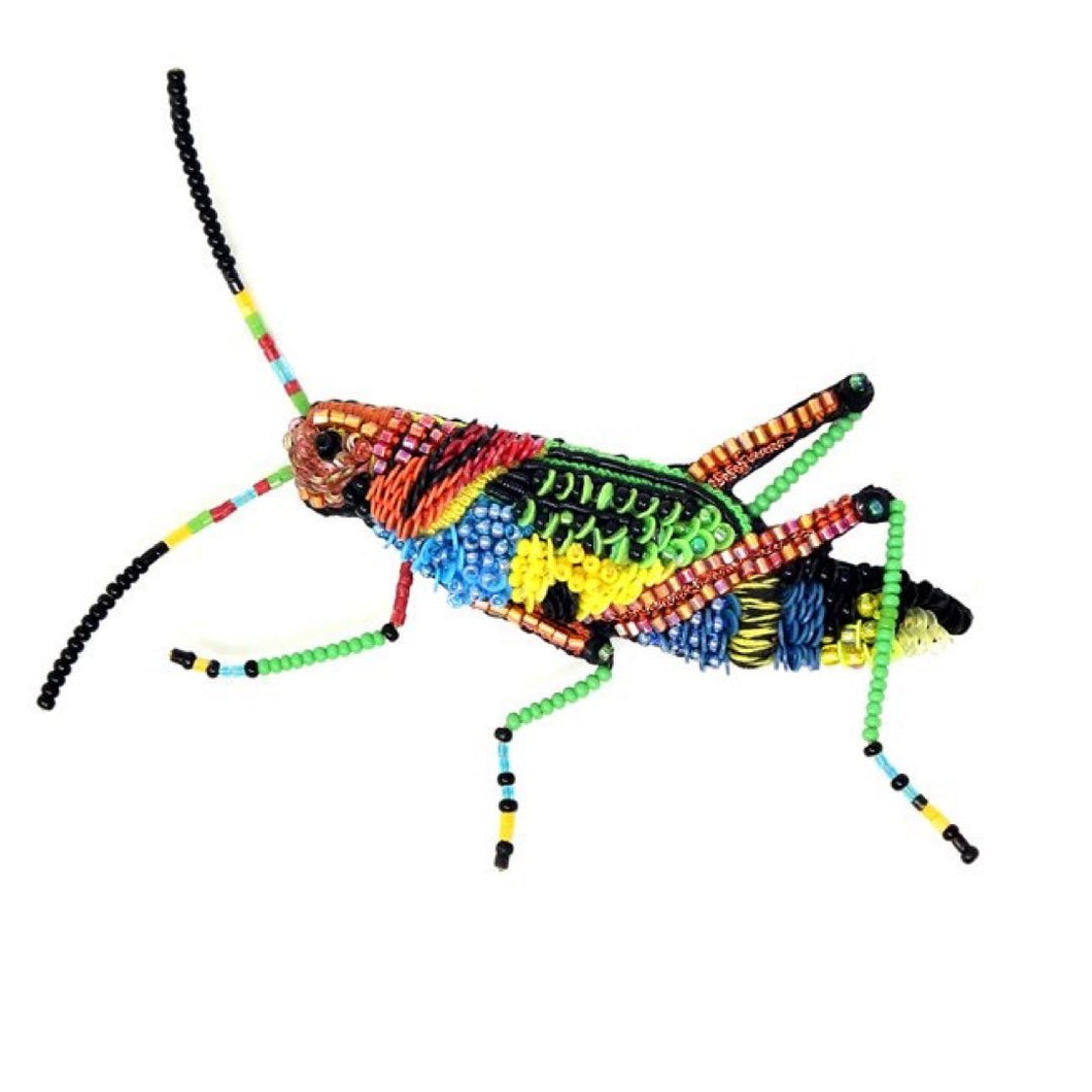 Painted Grasshopper Brooch Pin